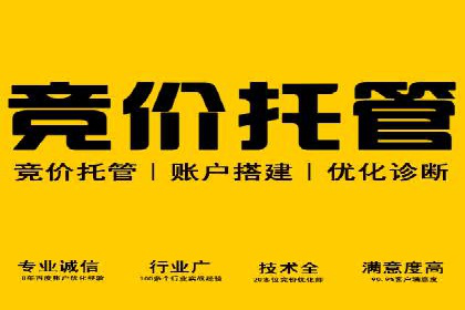 案例解析：SEM推广优化实战经验